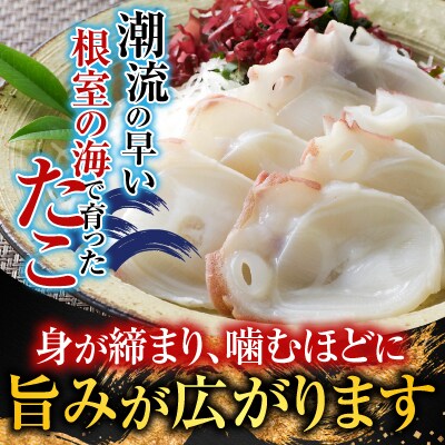 【北海道根室産】たこ足800g前後～1.4kg前後×1本 A-76028