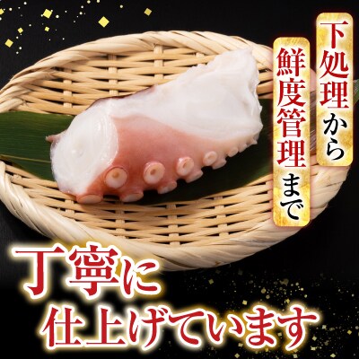 【北海道根室産】たこ足800g前後～1.4kg前後×1本 A-76028