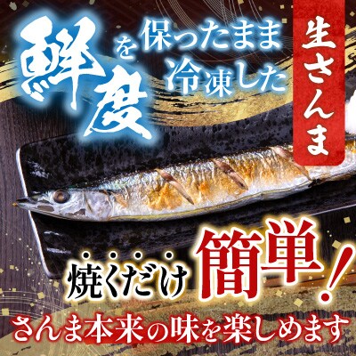 甘塩紅鮭5切×2P・冷凍生さんま5尾×2P A-76008