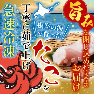 【北海道根室産】お刺身用たこ足2本(計2～2.5kg) C-76027