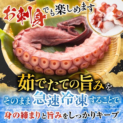【北海道根室産】お刺身用たこ足2本(計2～2.5kg) C-76027