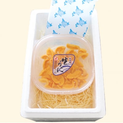 エゾバフンウニ塩水パック70g×1P[10月中旬以降発送] A-40017