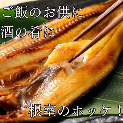 【北海道根室産】ほっけ一夜干し10枚セット B-83001