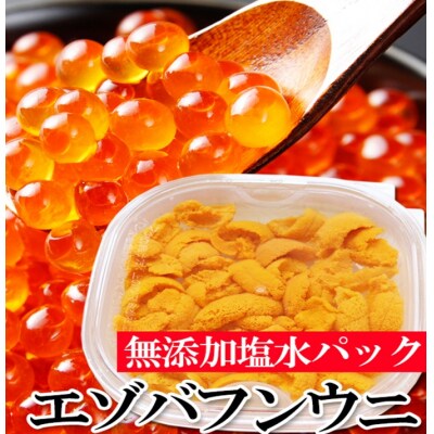 エゾバフンウニ塩水パック1P、いくら醤油漬(鱒卵)1P[2027年1月中旬以降発送] D-40050