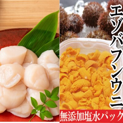 エゾバフンウニ塩水パック1P、お刺身ホタテ貝柱500g[2027年1月中旬以降発送] D-40052