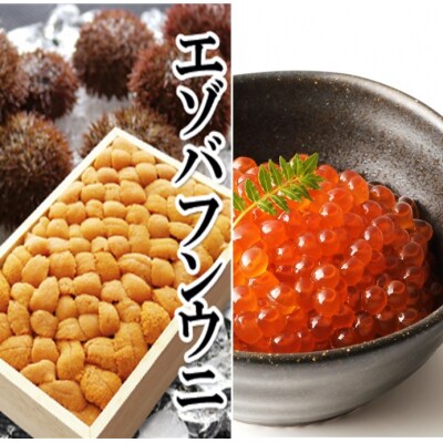 エゾバフンウニバラ詰め1枚、いくら醤油漬け1P D-40054