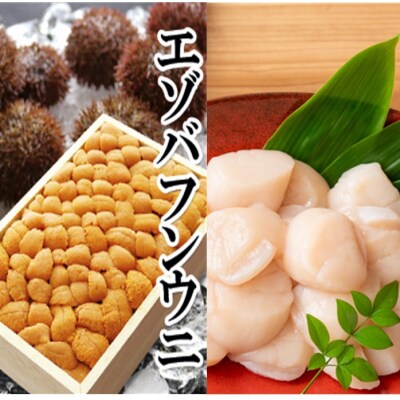 エゾバフンウニバラ詰め1折、お刺身ホタテ貝柱500g[2027年1月中旬以降発送] D-40055