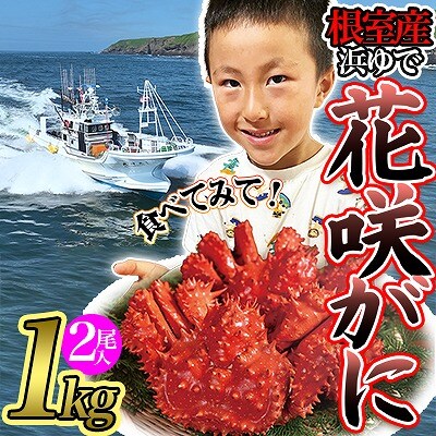 【北海道根室産】花咲がに500g前後×2尾セット(チルド便) B-80005