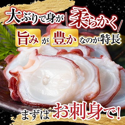 【北海道根室産】ボイルたこ足(水蛸)ブロック3切(計1kg前後) A-20003