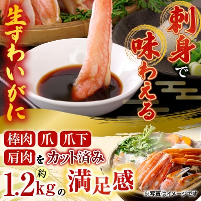生食可!カット済み生ずわいがに約1.2kg B-14101