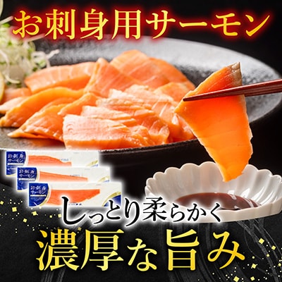 <12/14まで年内配送>トラウトサーモン1～2本&塩銀鮭切り身1切×10P A-09122