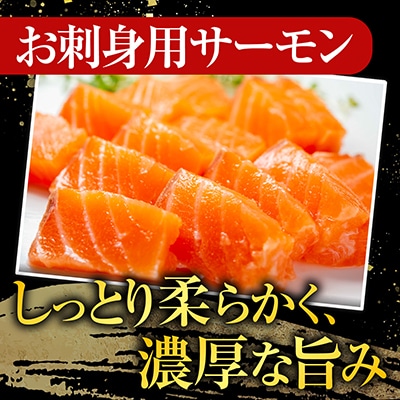 <12/14まで年内配送>トラウトサーモン2～3本&鮭とば100g A-09123