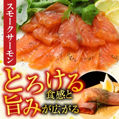 サーモン2～4P&塩銀鮭切り身1切×20P B-09089