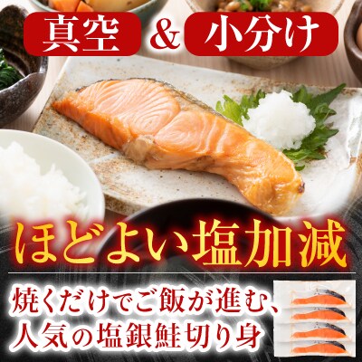 サーモン2～4P&塩銀鮭切り身1切×20P B-09089