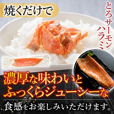 サーモン4～6P&とろサーモンハラミ6～10枚 B-09100