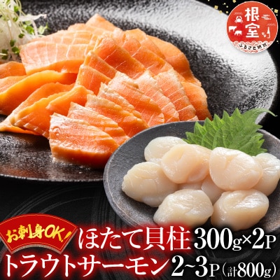 ほたて貝柱300g×2P&トラウトサーモン2～3P B-09101