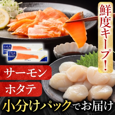 ほたて貝柱300g×2P&トラウトサーモン2～3P B-09101