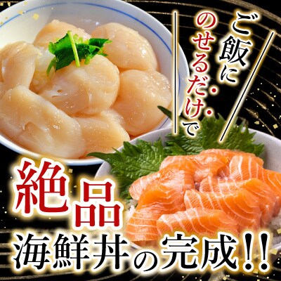 ほたて貝柱300g×2P&トラウトサーモン2～3P B-09101
