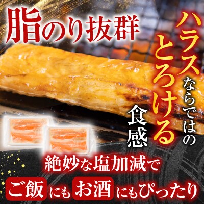 スモークサーモン&塩サーモンハラス D-09039