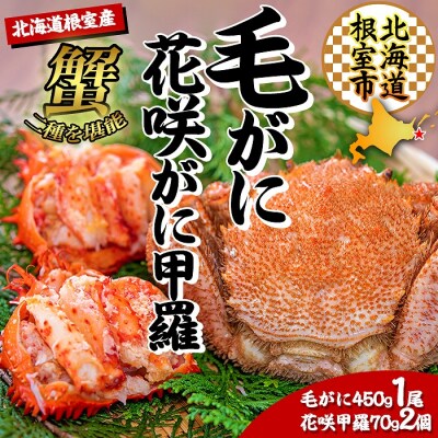 【北海道根室産】花咲ガニむき身甲羅盛り70g×2P、毛がに約450g C-45013