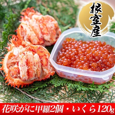 【北海道根室産】花咲ガニ(甲羅詰)70g×2P、いくら醤油漬1P B-45011