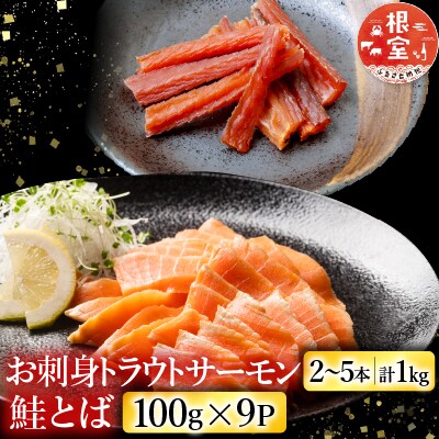 トラウトサーモン2～5本&鮭とば100g×9P F-09026