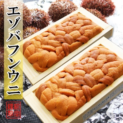 エゾバフンウニ100g×2折[2026年3月中旬以降発送] C-71025