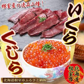 【12/20まで年内配送】★生くじら約300g、いくら120g B-45014