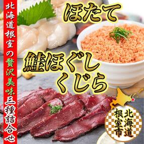 【12/20まで年内配送】★生くじら約300g、鮭ほぐし80g&times;2瓶、ほたて500g C-45015
