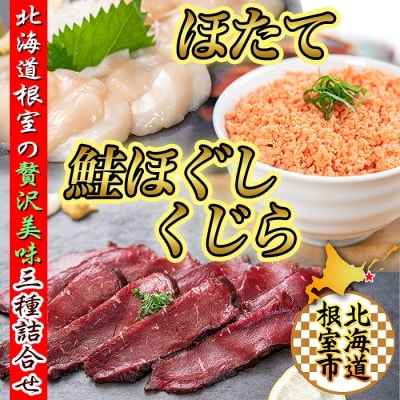 【北海道根室産】生くじら約300g、鮭ほぐし80g×2瓶、ほたて500g C-45015