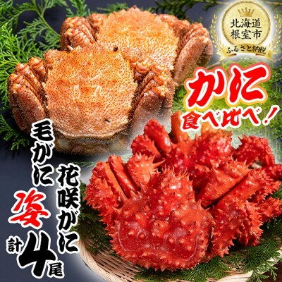 【北海道根室産】かに二種食べ比べセット(花咲がに、毛がに) D-80001