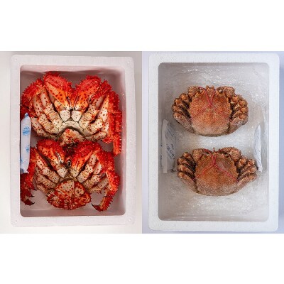 【北海道根室産】かに二種食べ比べセット(花咲がに、毛がに) D-80001