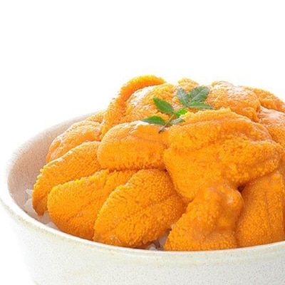 エゾバフンウニ塩水パック50～60g×2P[11月中旬以降発送] A-06011