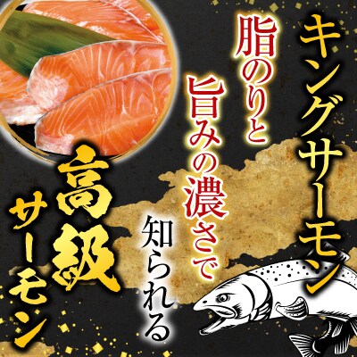 塩キングサーモン&キングサーモンみりん漬け D-09022