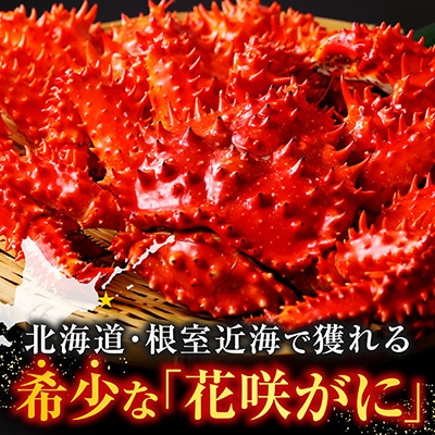 【北海道根室産】花咲がに甲羅詰め80g前後×2個 G-54001