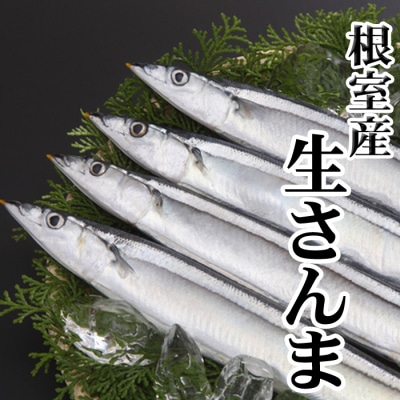 【北海道根室産】冷凍生さんま5尾×2P G-30001