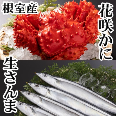 【北海道根室産】花咲かに300g～450g前後×1尾、冷凍生さんま5尾×1P G-30002