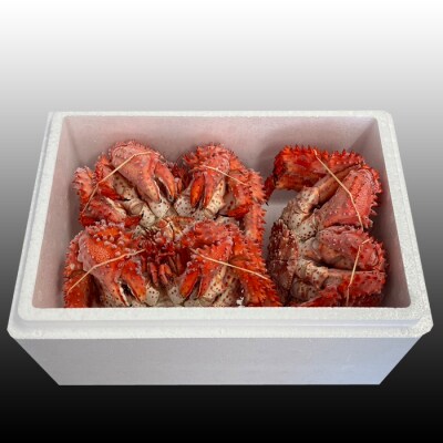 【北海道根室産】花咲かに300g前後～450g前後×3尾 G-30010