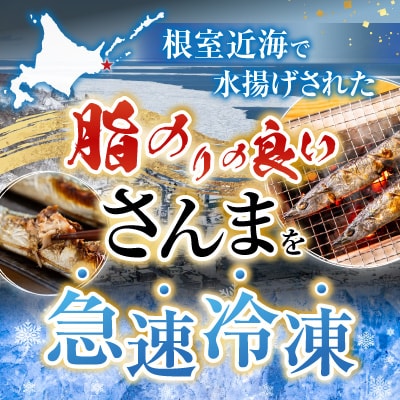 【北海道根室産】冷凍生さんま5尾×2P G-36001