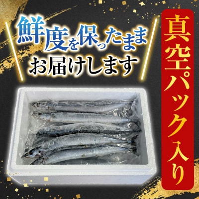 【北海道根室産】冷凍生さんま5尾×2P G-36001