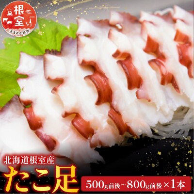 【北海道根室産】たこ足500g前後～800g前後×1本 G-36008