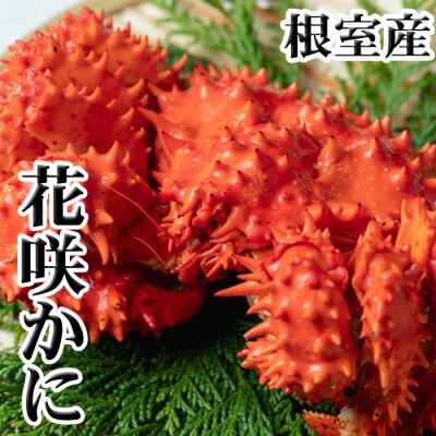 【北海道根室産】花咲かに300g前後～450g前後×3尾 G-36010