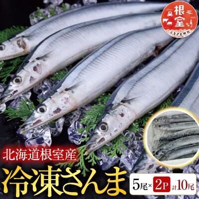 【北海道根室産】冷凍生さんま5尾×2P G-76001