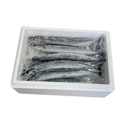 【北海道根室産】冷凍生さんま5尾×2P G-76001