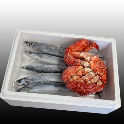 【北海道根室産】花咲かに300g～450g前後×1尾、冷凍生さんま5尾×1P G-76002