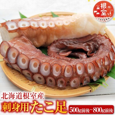 【北海道根室産】たこ足500g前後～800g前後×1本 G-76008