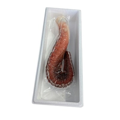 【北海道根室産】たこ足500g前後～800g前後×1本 G-76008