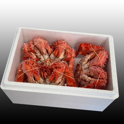 【北海道根室産】花咲かに300g前後～450g前後×3尾 G-76010