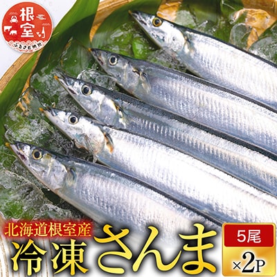 【年内配送可】★冷凍生さんま5尾×2P G-70001