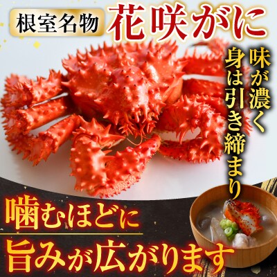 【北海道根室産】花咲かに300g～450g前後×1尾、冷凍生さんま5尾×1P G-70002